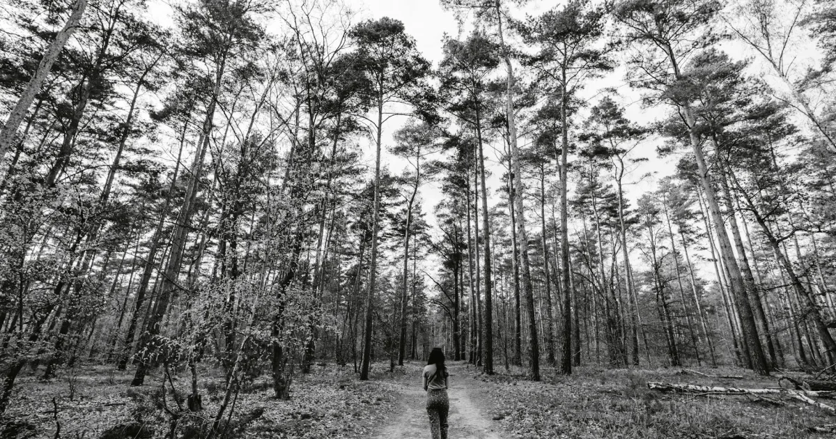 Downtown Dilkon, AZ, AZ