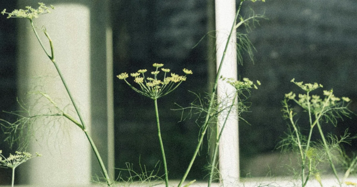 Downtown Dill City, OK, OK