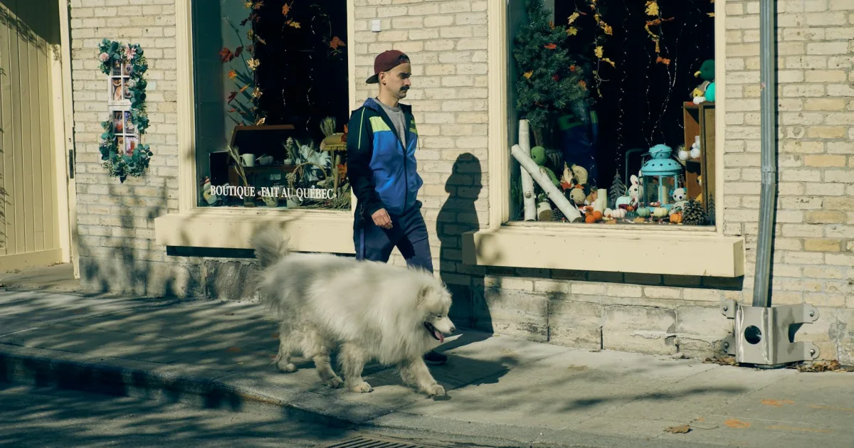 Downtown Dogtown, CA, CA