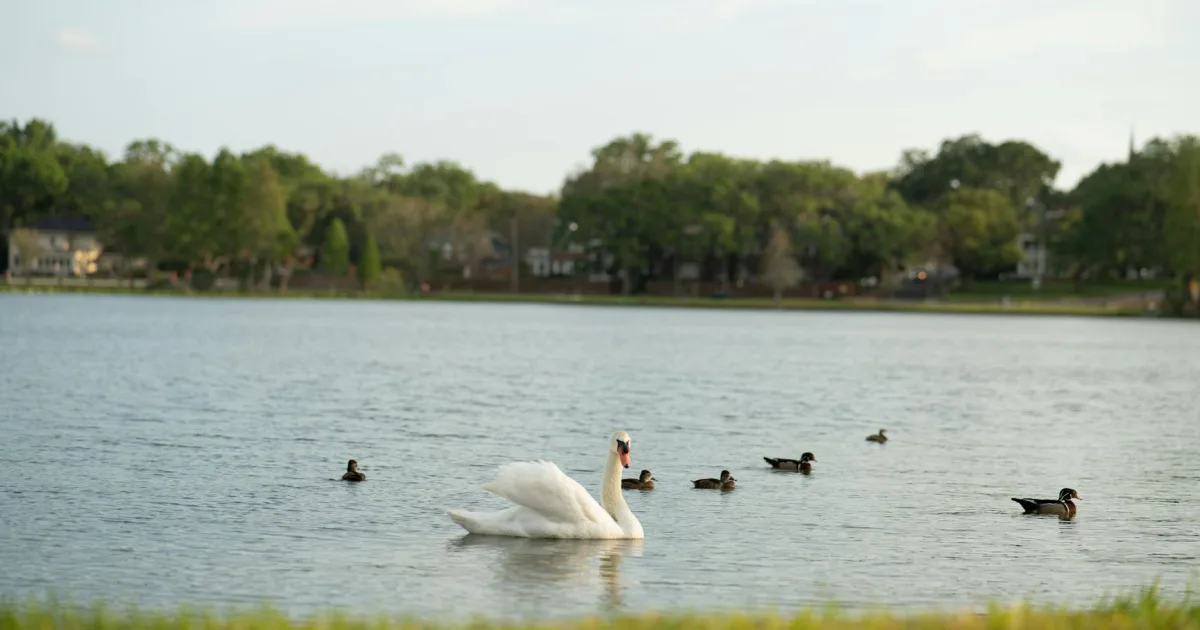 Downtown Dover, FL, FL