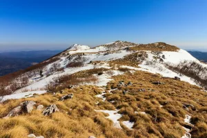Downtown Dry Ridge, KY, KY