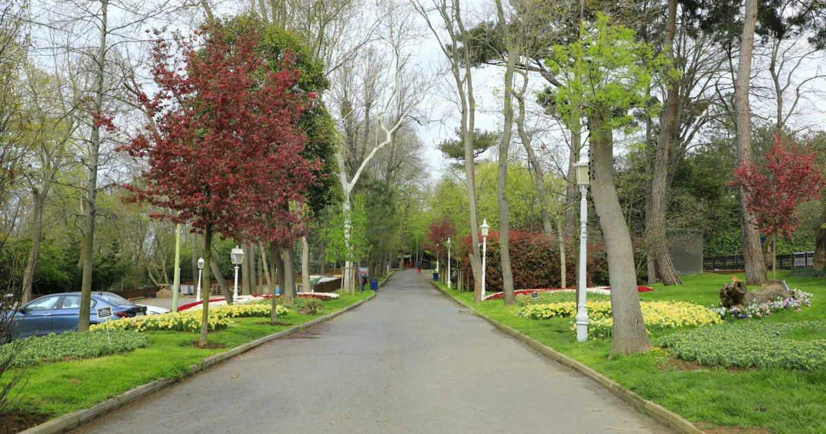 Downtown Eagleswood Village, NJ, NJ