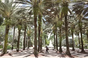 Downtown East Palatka, FL, FL