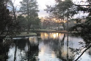 census-designated place in Suffolk County, New York, United States