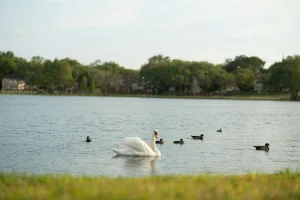 Downtown Eglin Village, FL, FL
