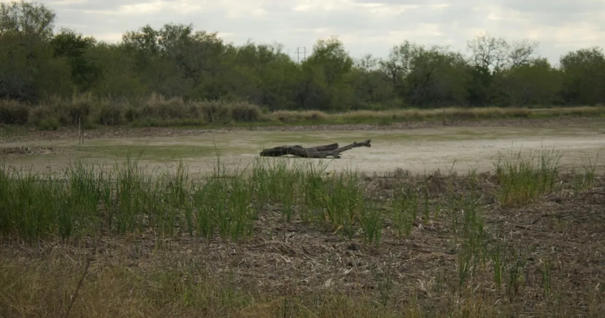Downtown El Cenizo, TX, TX