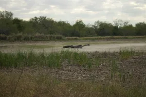 Downtown El Cenizo, TX, TX