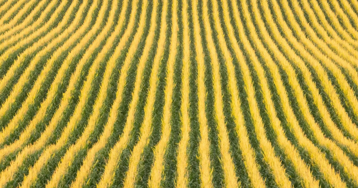 Downtown Elgin, OR, OR