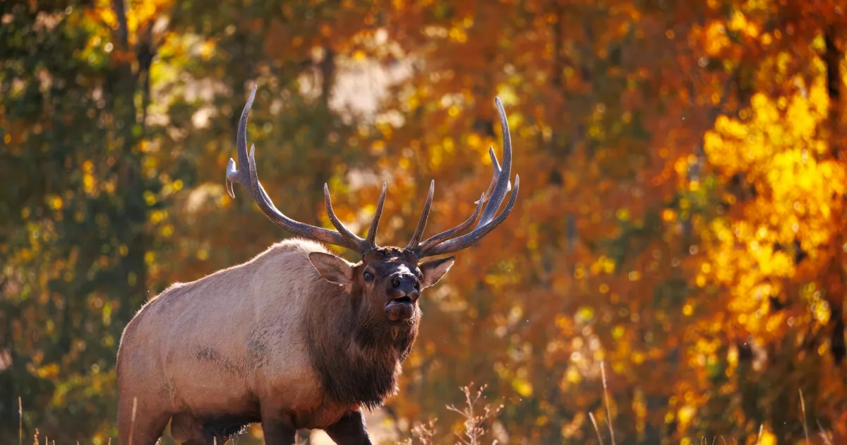 Downtown Elk City, OK, OK