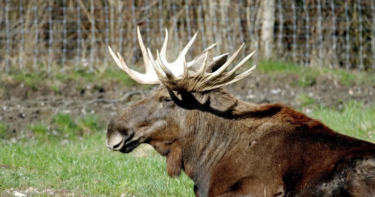 Downtown Elkhorn, CA, CA