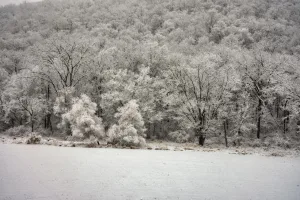 Downtown Erskine, MN, MN