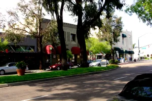 city in San Diego County, United States