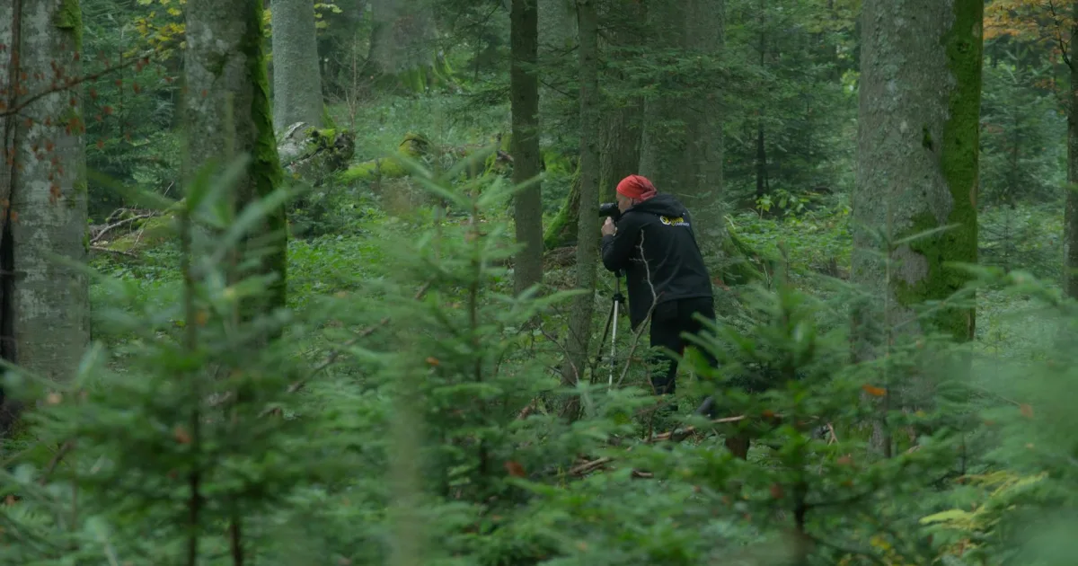 Downtown Espy, PA, PA