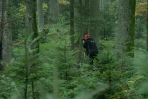 Downtown Espy, PA, PA