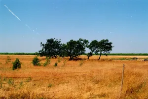 Downtown Euless, TX, TX