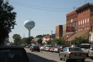 city in Livingston County, Illinois, United States