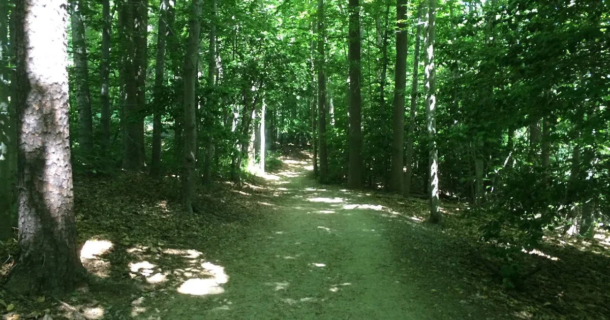 census-designated place in Virginia, United States