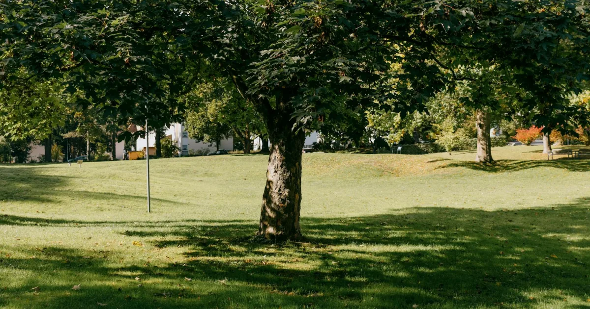 Downtown Fairview Park, IN, IN