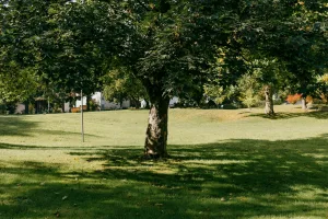 Downtown Fairview Park, IN, IN