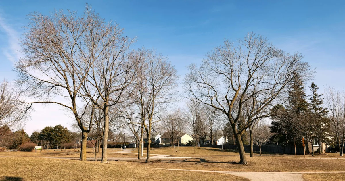 Downtown Fairview Park, OH, OH