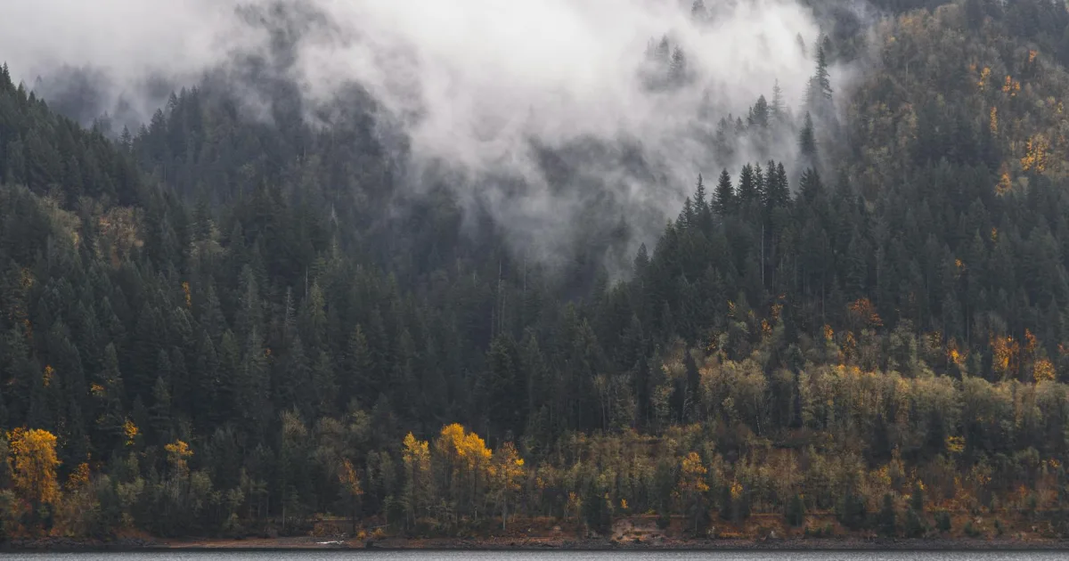 Downtown Fall City, WA, WA