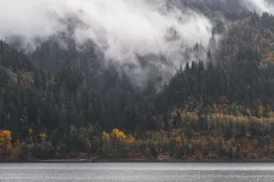 Downtown Fall City, WA, WA