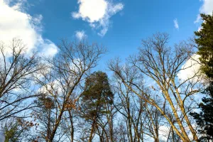 Downtown Falls Church, VA, VA