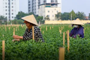 Downtown Farmer City, IL, IL