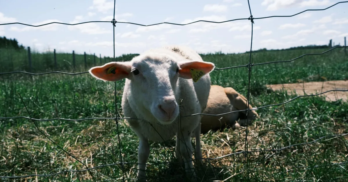 Downtown Farmington, MI, MI