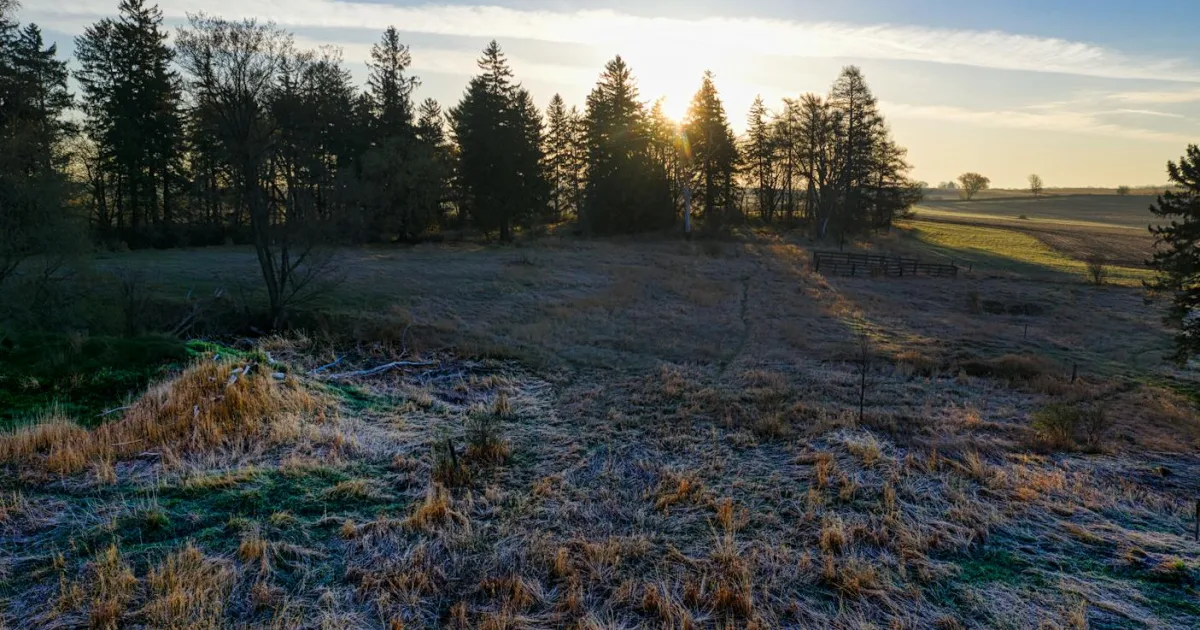 Downtown Fertile, MN, MN