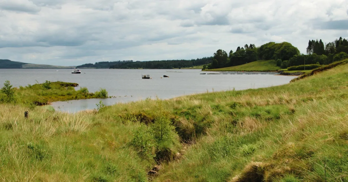 Downtown Fife Lake, MI, MI