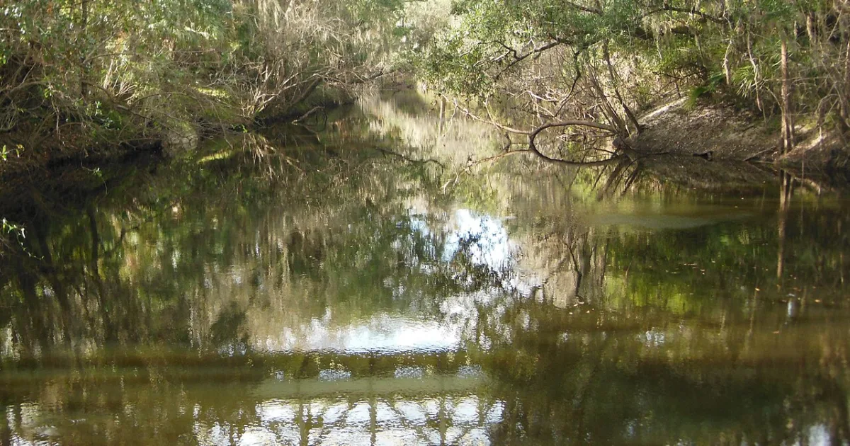 census-designated place in Hillsborough County, Florida, United States