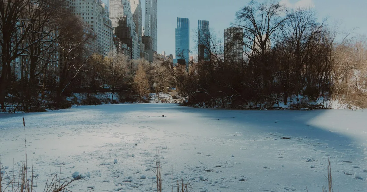 Downtown Flatlands, NY, NY