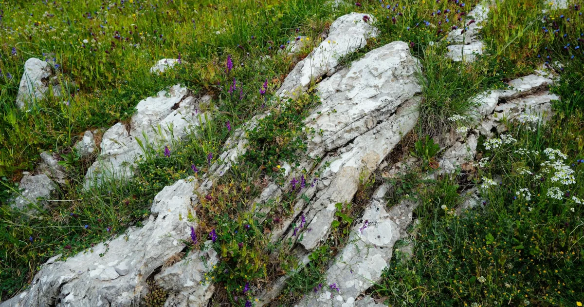 Downtown Flora, IL, IL