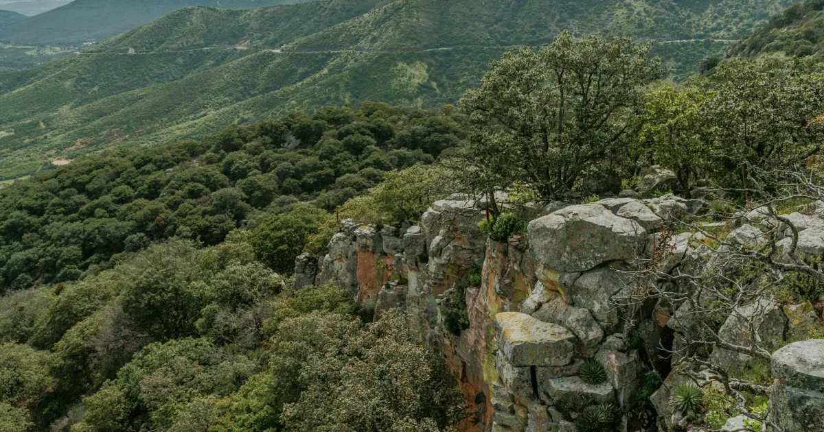 Downtown Flora Vista, NM, NM