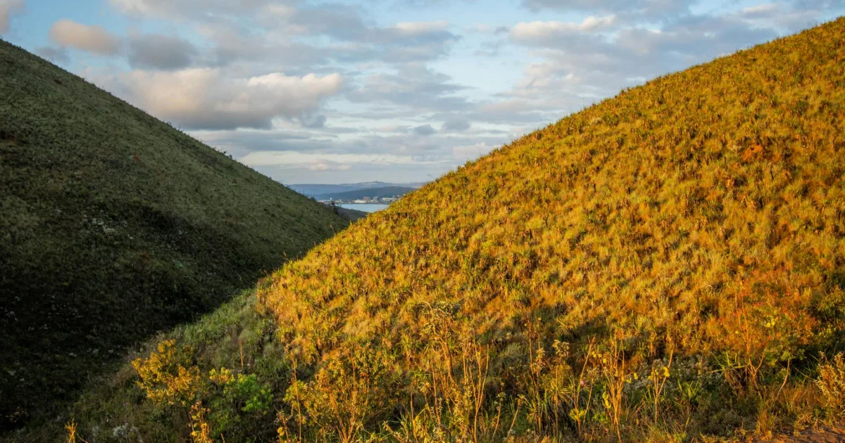 Downtown Fobes Hill, WA, WA