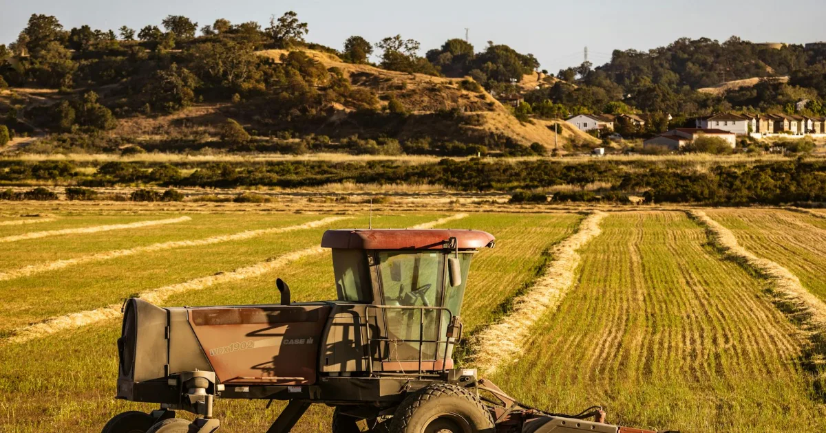 Downtown Foothill Farms, CA, CA