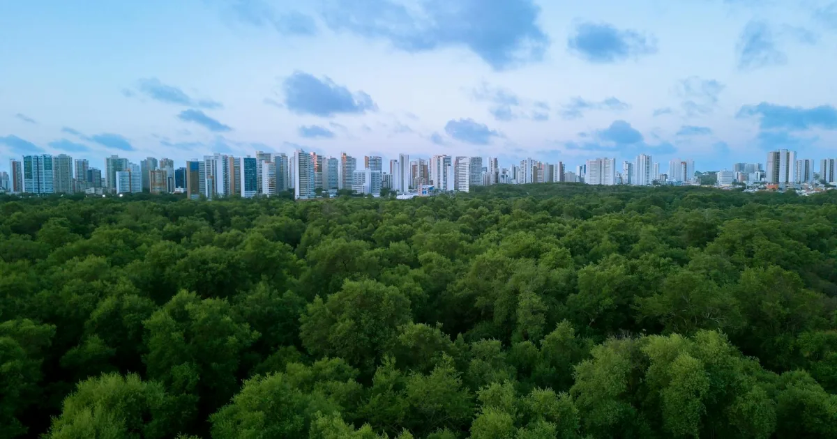 Downtown Forest City, IA, IA