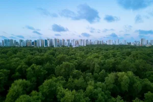 Downtown Forest City, IA, IA