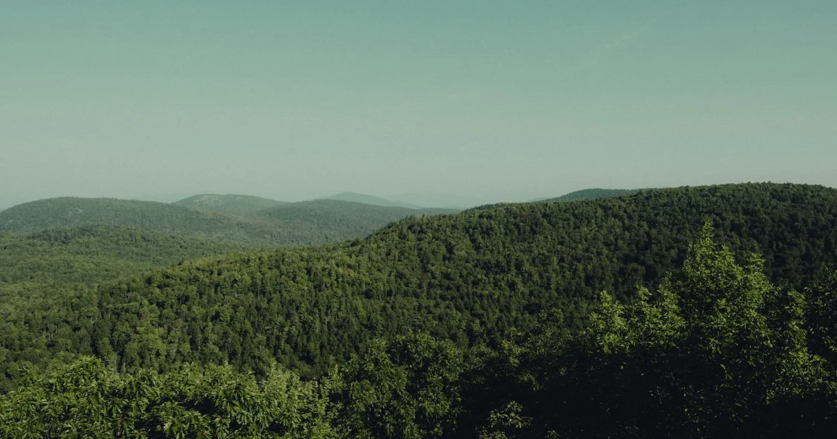 Downtown Forest Hills, TN, TN