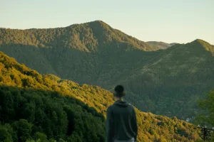 Downtown Forest Hills, MI, MI