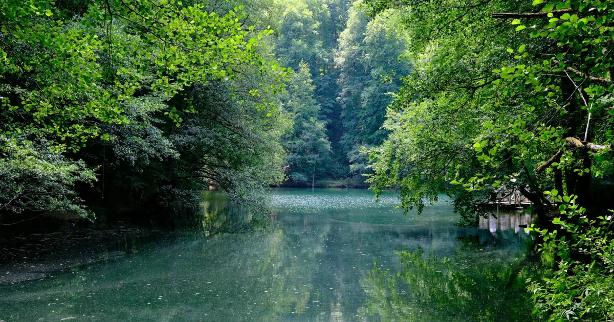 Downtown Forest Lake, PA, PA