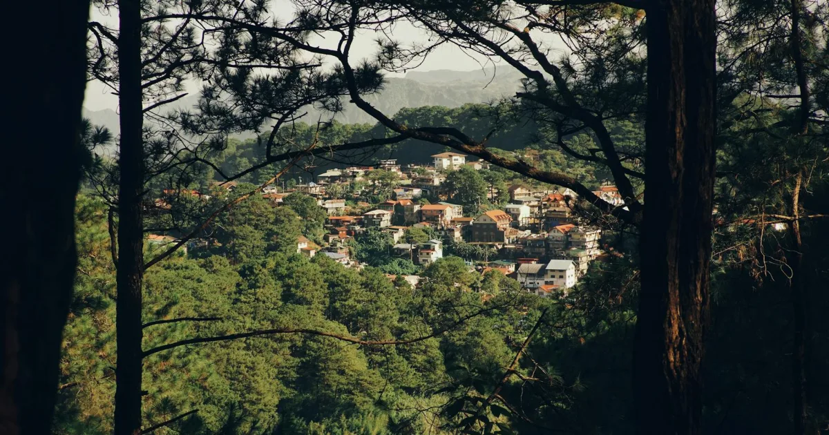 Downtown Forestville, OH, OH