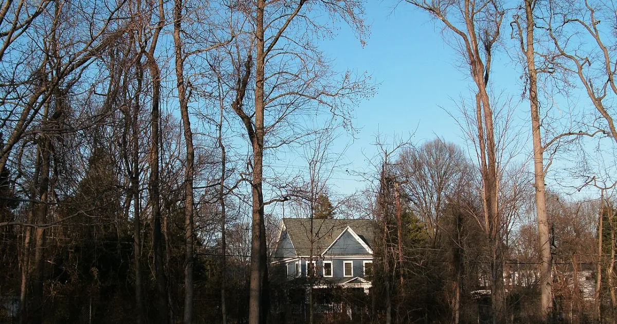 census designated place in Fairfax County, Virginia, United States