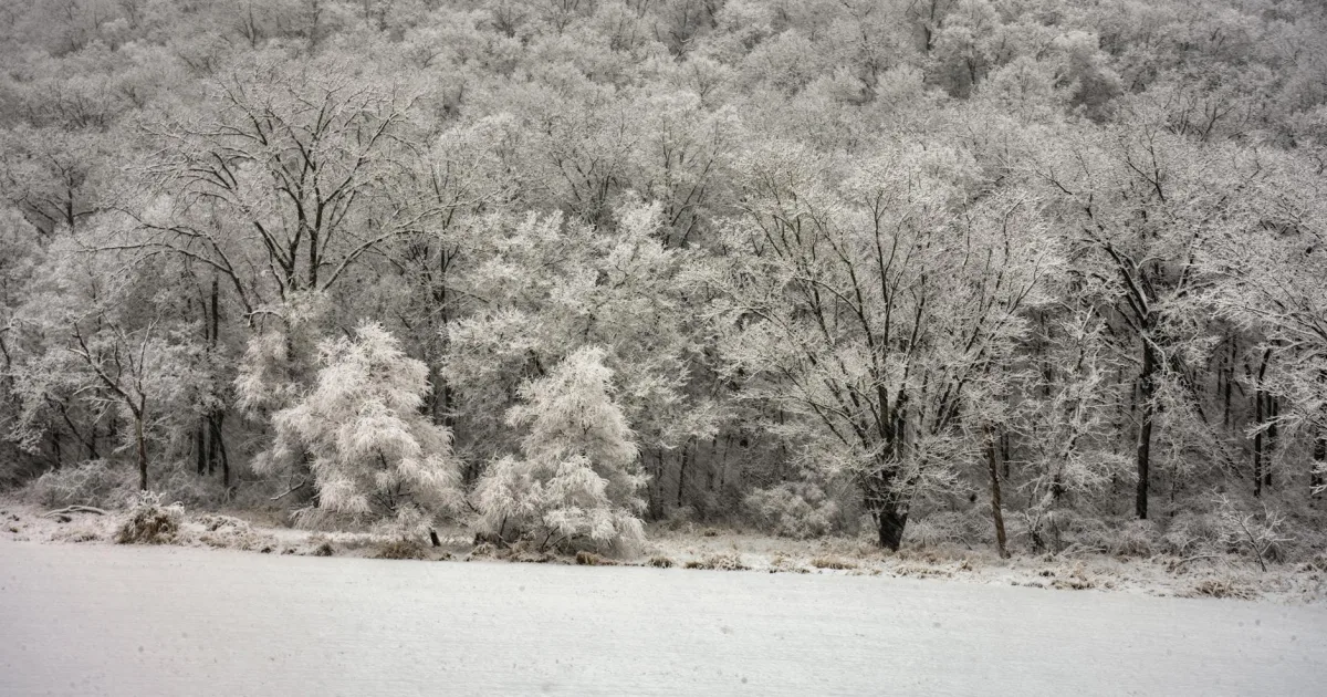 Downtown Fosston, MN, MN