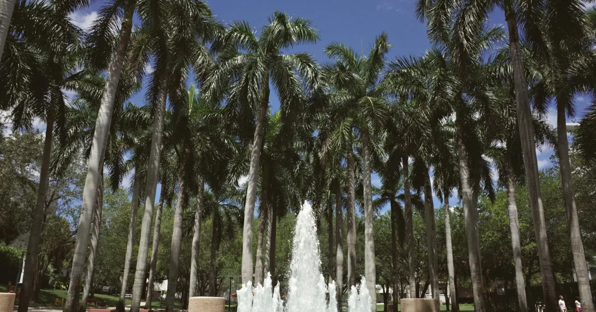 Downtown Fountainebleau, FL, FL