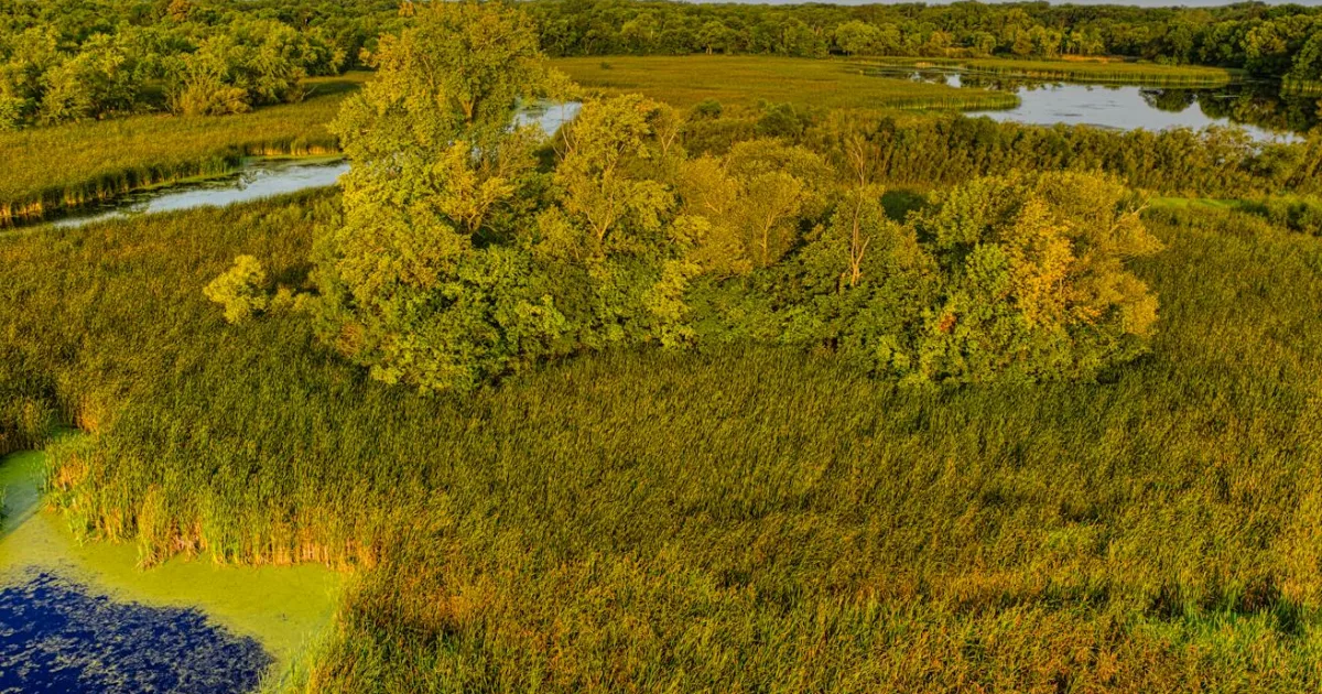 Downtown French Lake, MN, MN