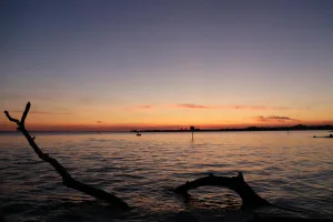 Downtown Fried, ND, ND