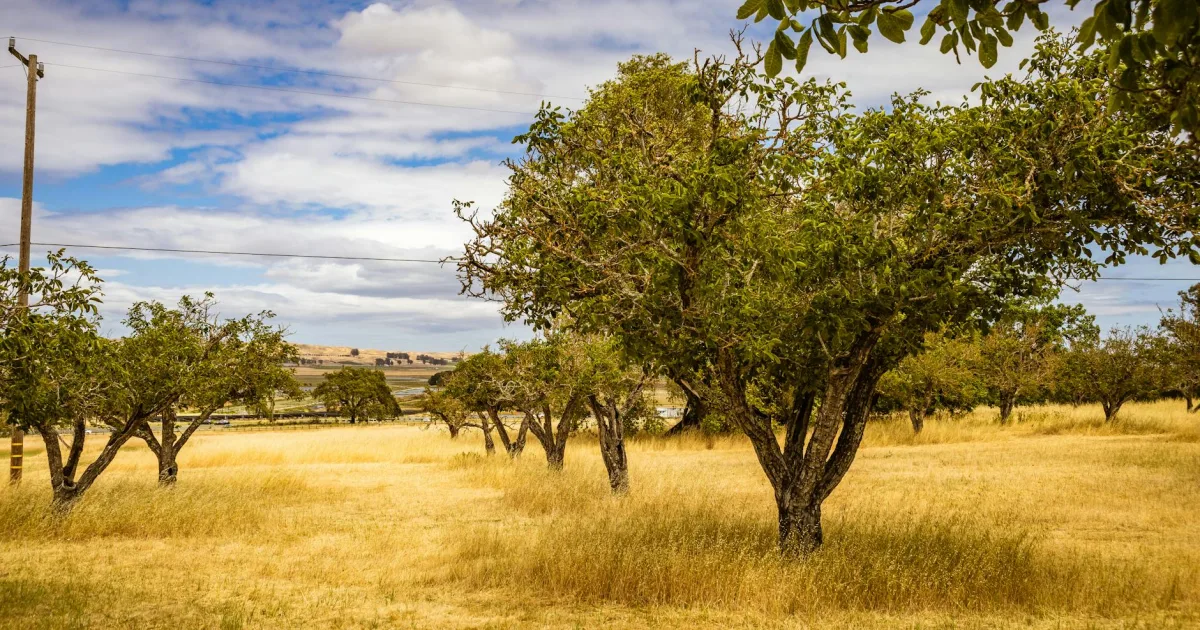 Downtown Fruitdale, OR, OR