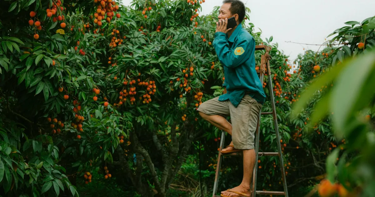 Downtown Fruitland, ID, ID